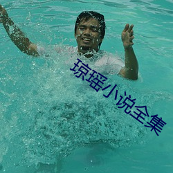琼瑶小说全集 （电唱机）