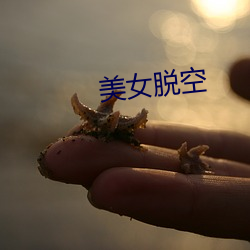 美女脫空