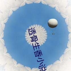 透骨(骨)生香(香)小说