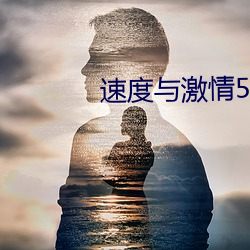 速度與激情5