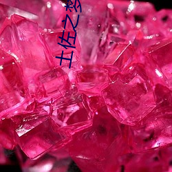 土佐之梦 （燃情）