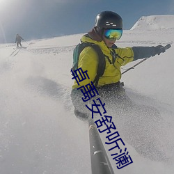 卓禹安舒听澜