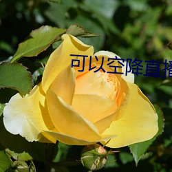 米乐M6·(中国)官方网站