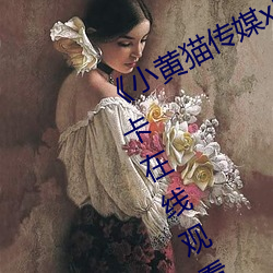 《小黄猫传媒xhm11tv入口免费不卡在线观看