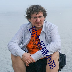 四大名捕小說