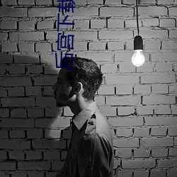 后宫下载安装 虚室生白）