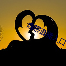 趣聊(lio)直(zhí)播入口