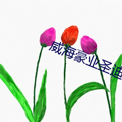 威海豪(ho)业圣迪(d)电影院