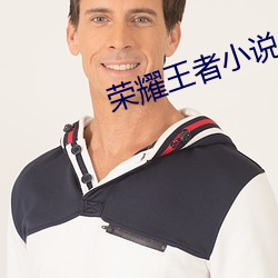 荣耀(耀)王者小说(說)