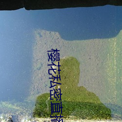 樱(櫻)花私(私)密直(直)播ios