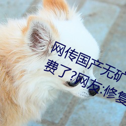 网(網)传国产无(無)矿砖(磚)码砖专区2022就免(免)费了?网友:修(修)复卡顿的情况(況)