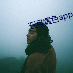 五月黄色app