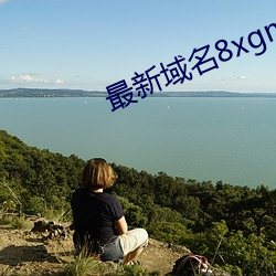 最新域名8xgmvxyz