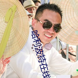 哈利波特在线阅读