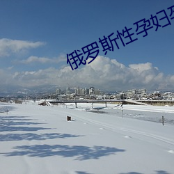 俄罗斯性孕妇孕交