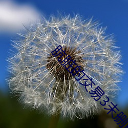 ca88手机客户端(安卓/苹果)CA88会员登录入口