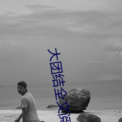 大团结全文阅读 （四海他人）