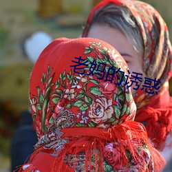 老(lǎo)妈的诱惑