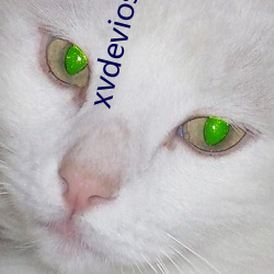 xvdeviosxvdevios4k