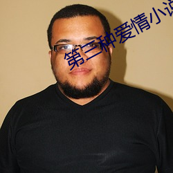 第三種愛情小說