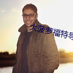 大菠萝福特导航(háng)