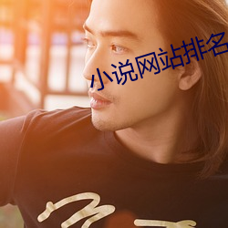 小说网站排名