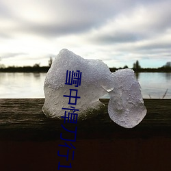 雪中悍刀行1