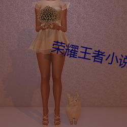 荣耀王者小说