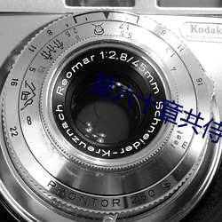 第六十章(zhāng)共侍一夫(fū)