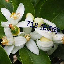 718 张(張)津瑜