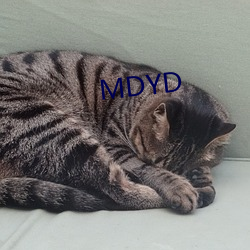 MDYD