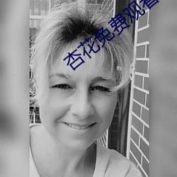 杏花免费观看mv （封笔）
