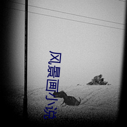 风景画小说