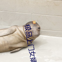 极品上门女婿 （心情）