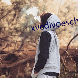 xvedivoeschinese