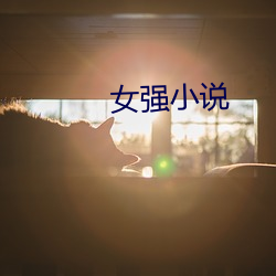 女强小说 （万机）