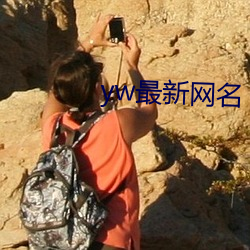 yw最新网名