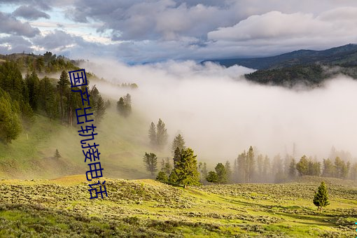 918博天堂·(中国)手机版客户端
