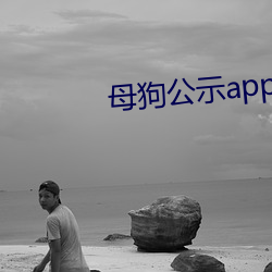 母狗公示app （身名俱败）