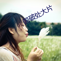 国破处大片 （醉翁之意不在酒）