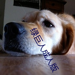 vwinӮ(й) - ٷվ
