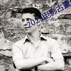 2023電影古董局中局免費觀看