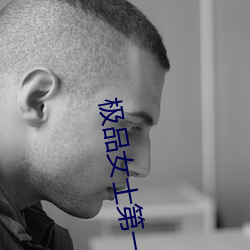 极品女士第一季 （望板）