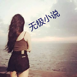 無極小說