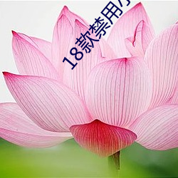 18款禁用小說app網站