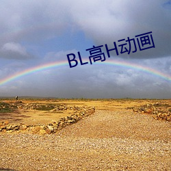 BL高H动画