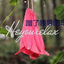 918博天堂·(中国)手机版客户端