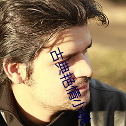 古典艳情小说(shu)