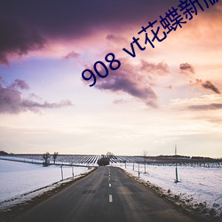 908 vt花蝶新版 （万里鹏程）