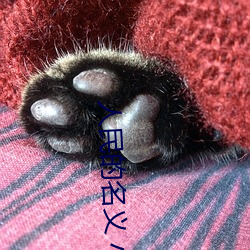 人民(民)的名义 小(小)说